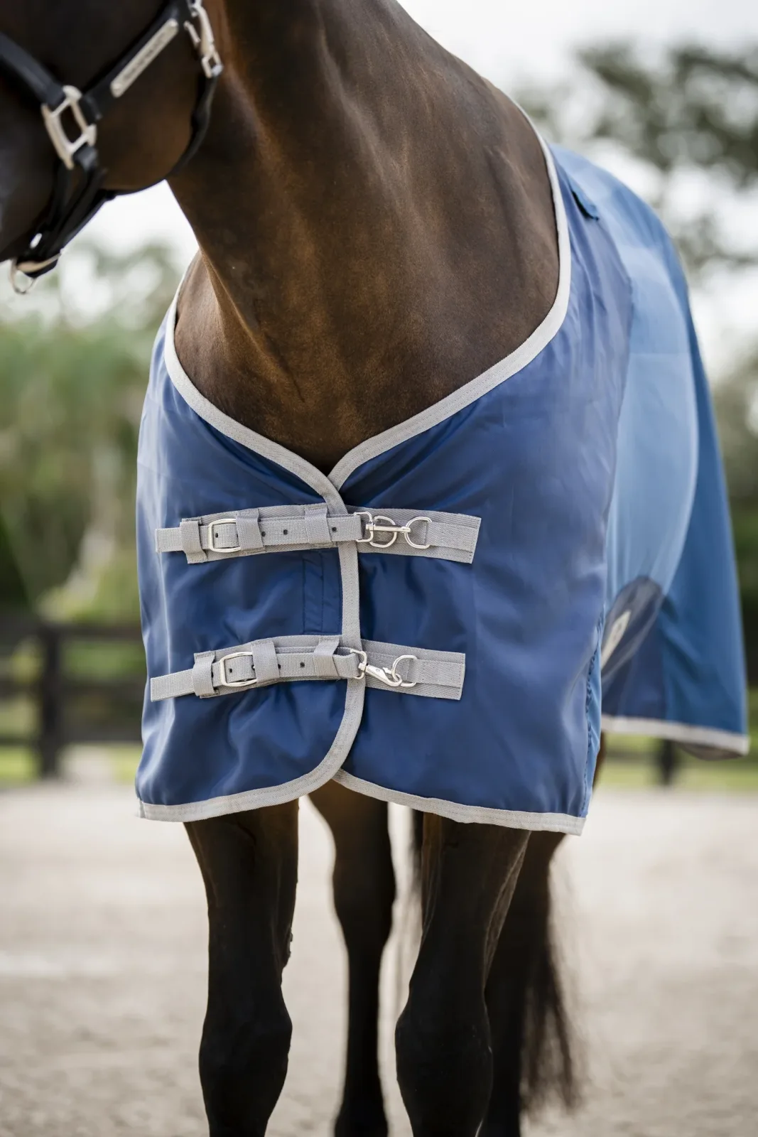 Horseware Ionic Therapy Quarter Horse Mesh Cooler - Image 2