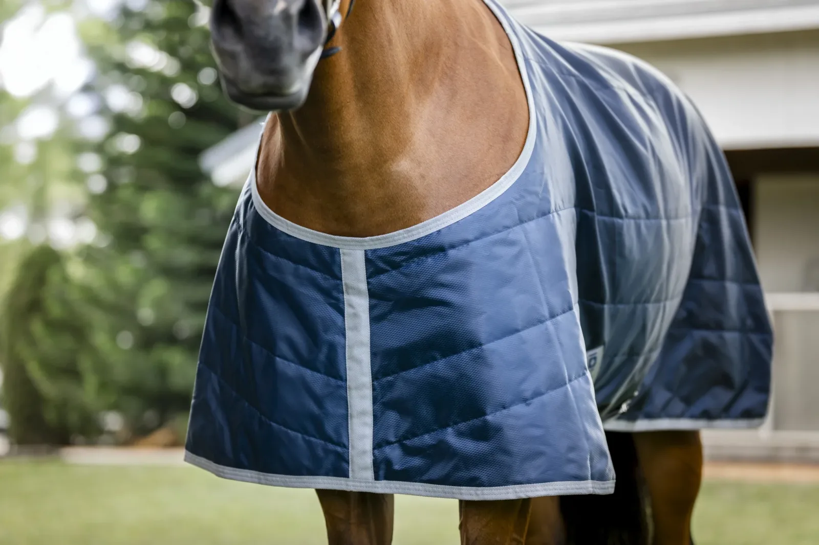 Horseware Ionic Therapy Quarter Horse Stable 50g - Image 2