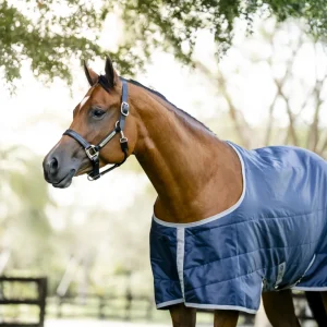 Horseware Ionic Therapy Quarter Horse Stable 50g
