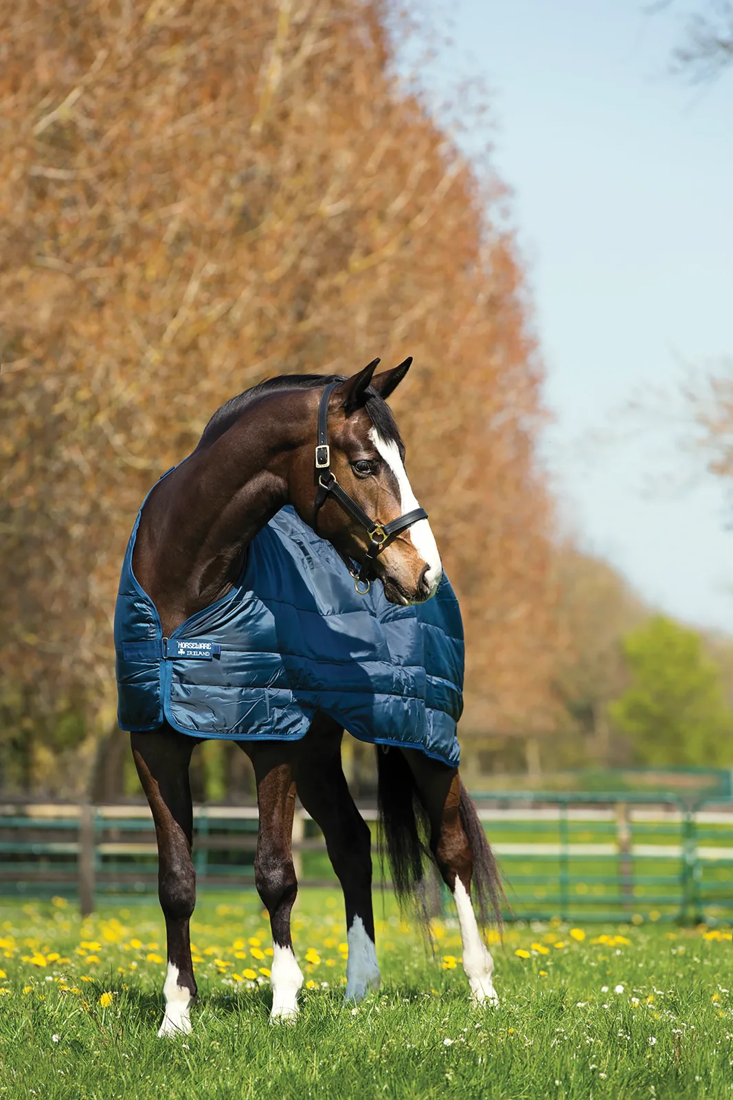 Horseware® Ireland 200 Gram Blanket Liner - Image 2