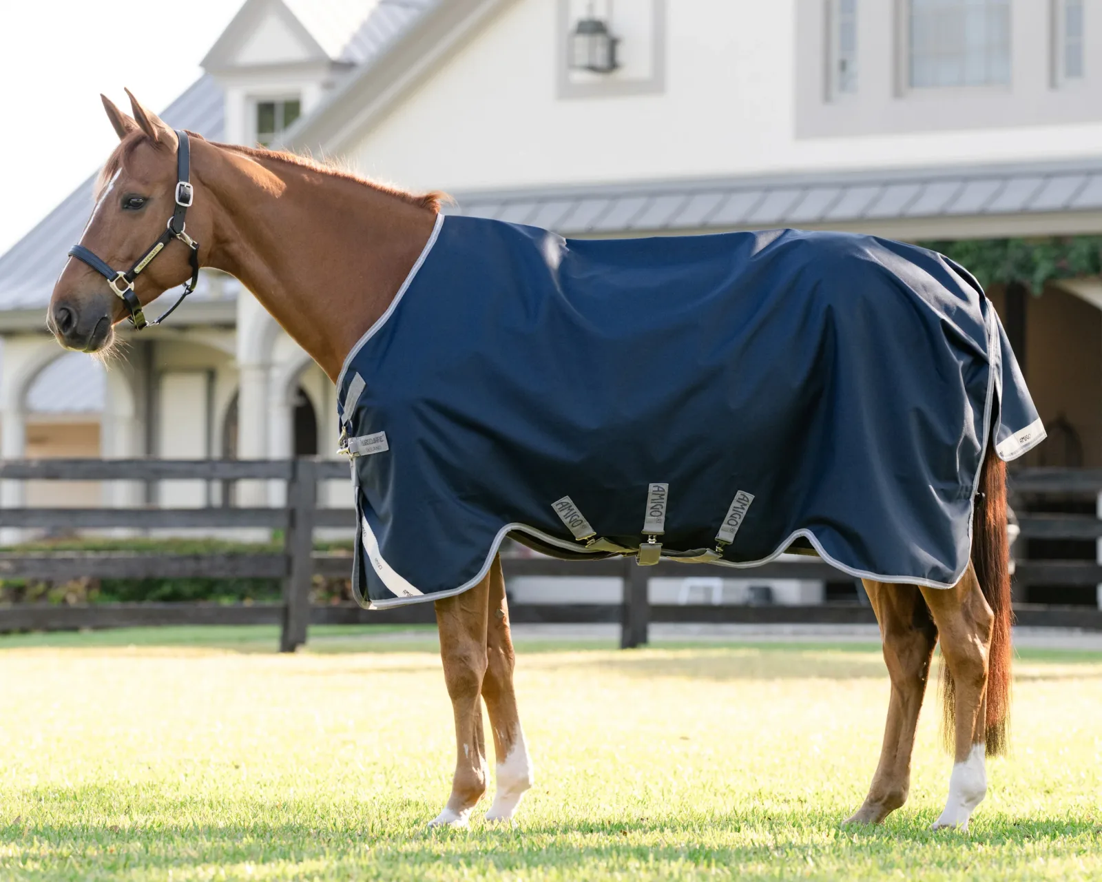 Horseware® Ireland Amigo® 1200D Turnout Sheet Standard Neck