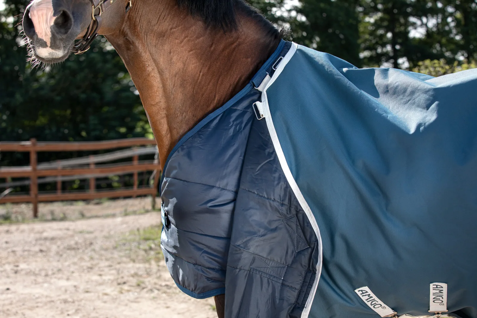 Horseware® Ireland Amigo® AmEco 12 Plus Turnout Sheet - Image 2
