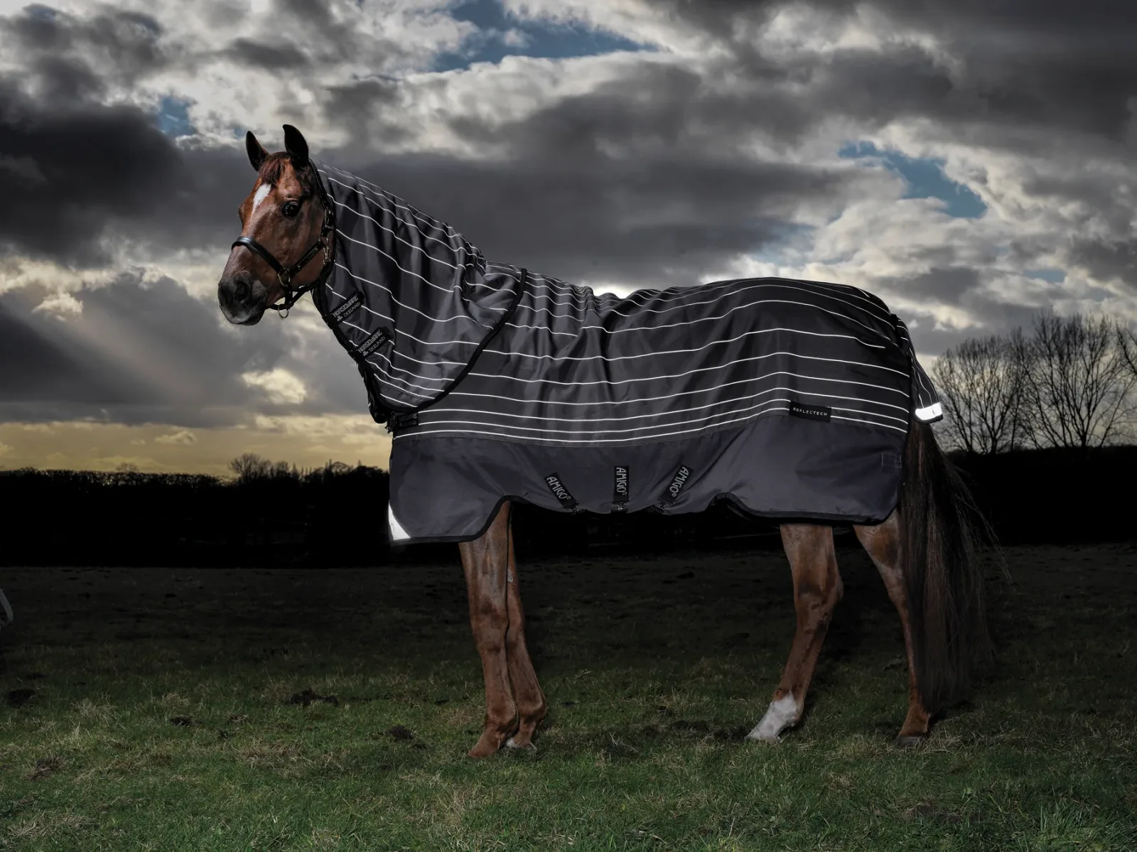 Horseware® Ireland Amigo® Bravo 12 Plus Reflectech Turnout Medium-Weight Blanket - Image 2