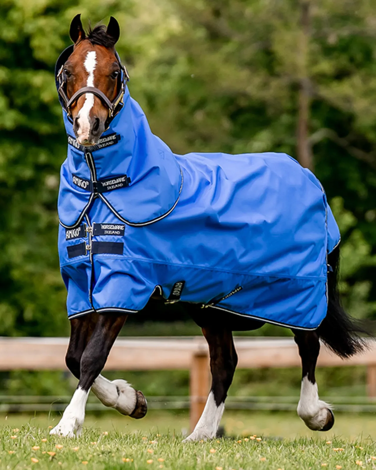 Horseware® Ireland Amigo® Hero Ripstop Plus 100 Gram Turnout Light Blanket