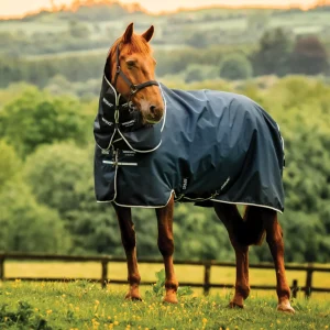 Horseware® Ireland Amigo® Ripstop 900D Plus Pony Turnout Sheet