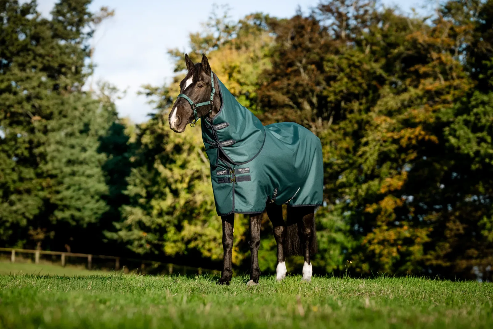 Horseware® Ireland Amigo® Ripstop 900D Plus Turnout Sheet - Image 2