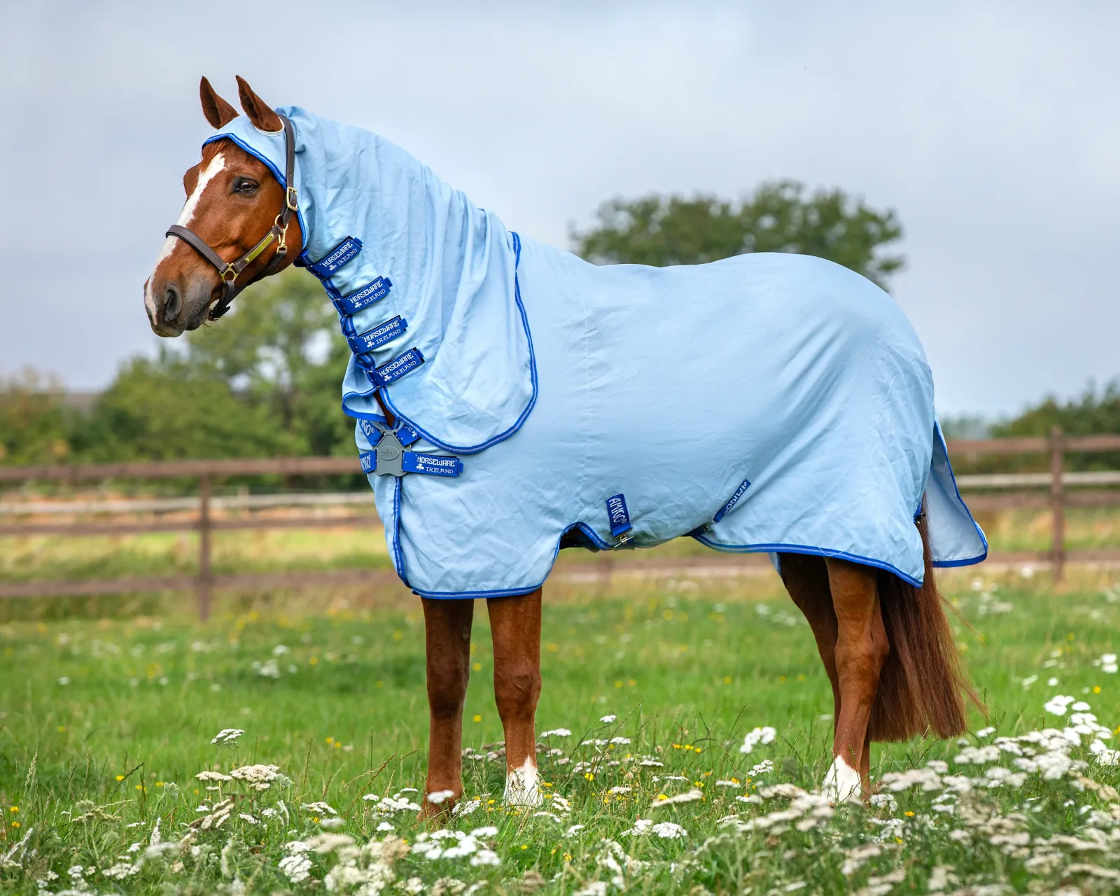 Horseware® Ireland Amigo® Ripstop Hoody Blanket