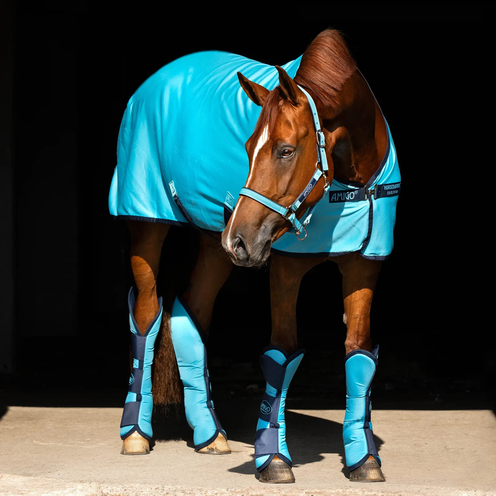 Horseware® Ireland Amigo® Ripstop Travel Boots - Image 2