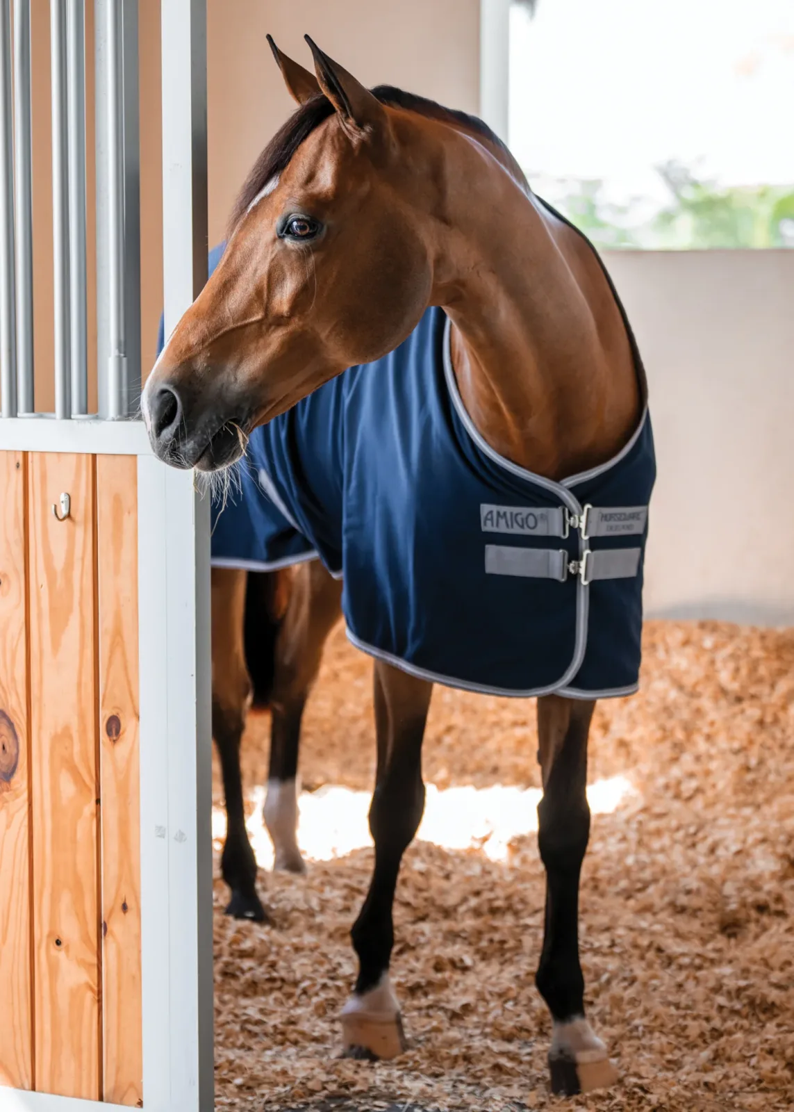 Horseware® Ireland Amigo® Stable Sheet–Core Color - Image 2