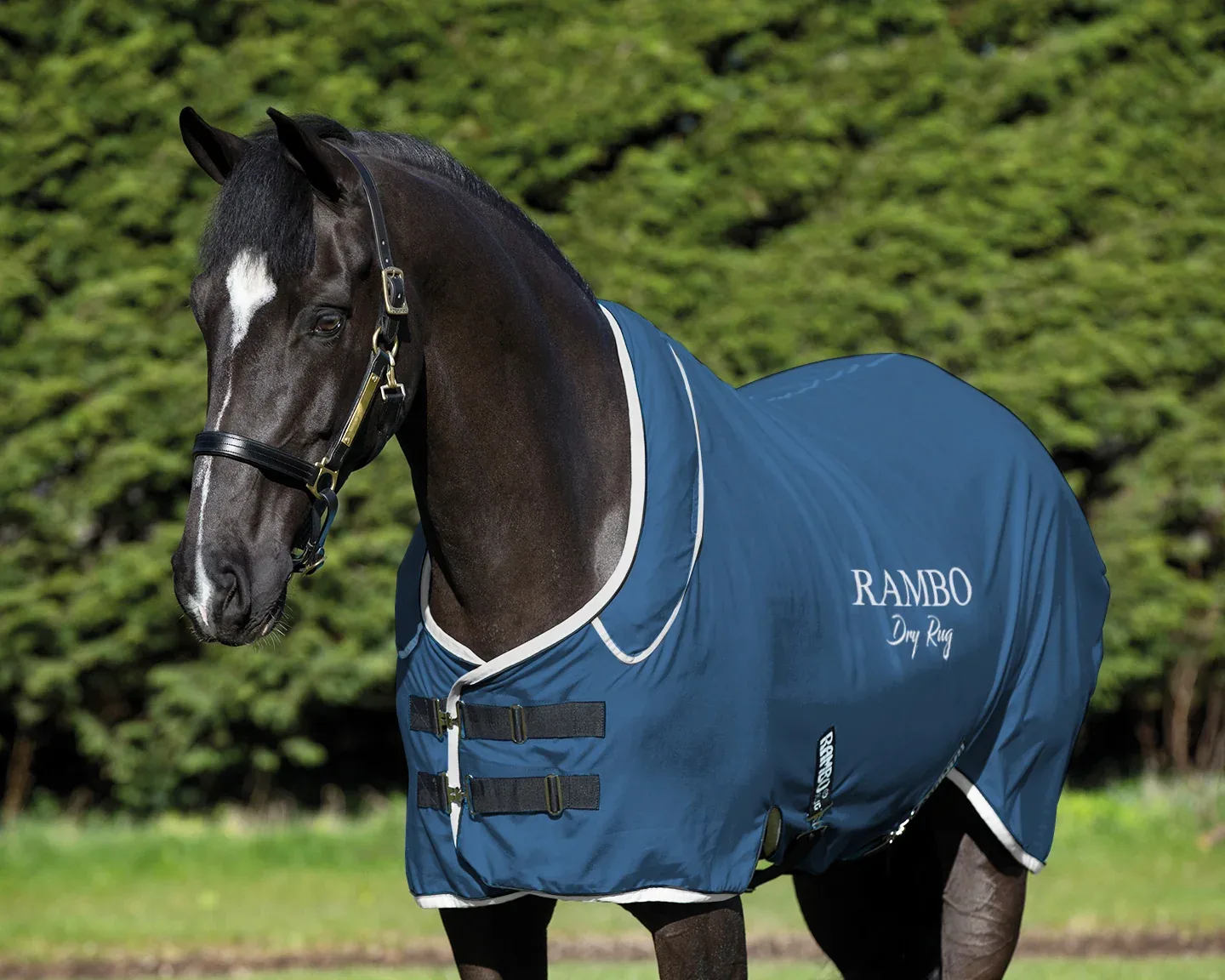 Horseware® Ireland Rambo® Dry Rug Supreme