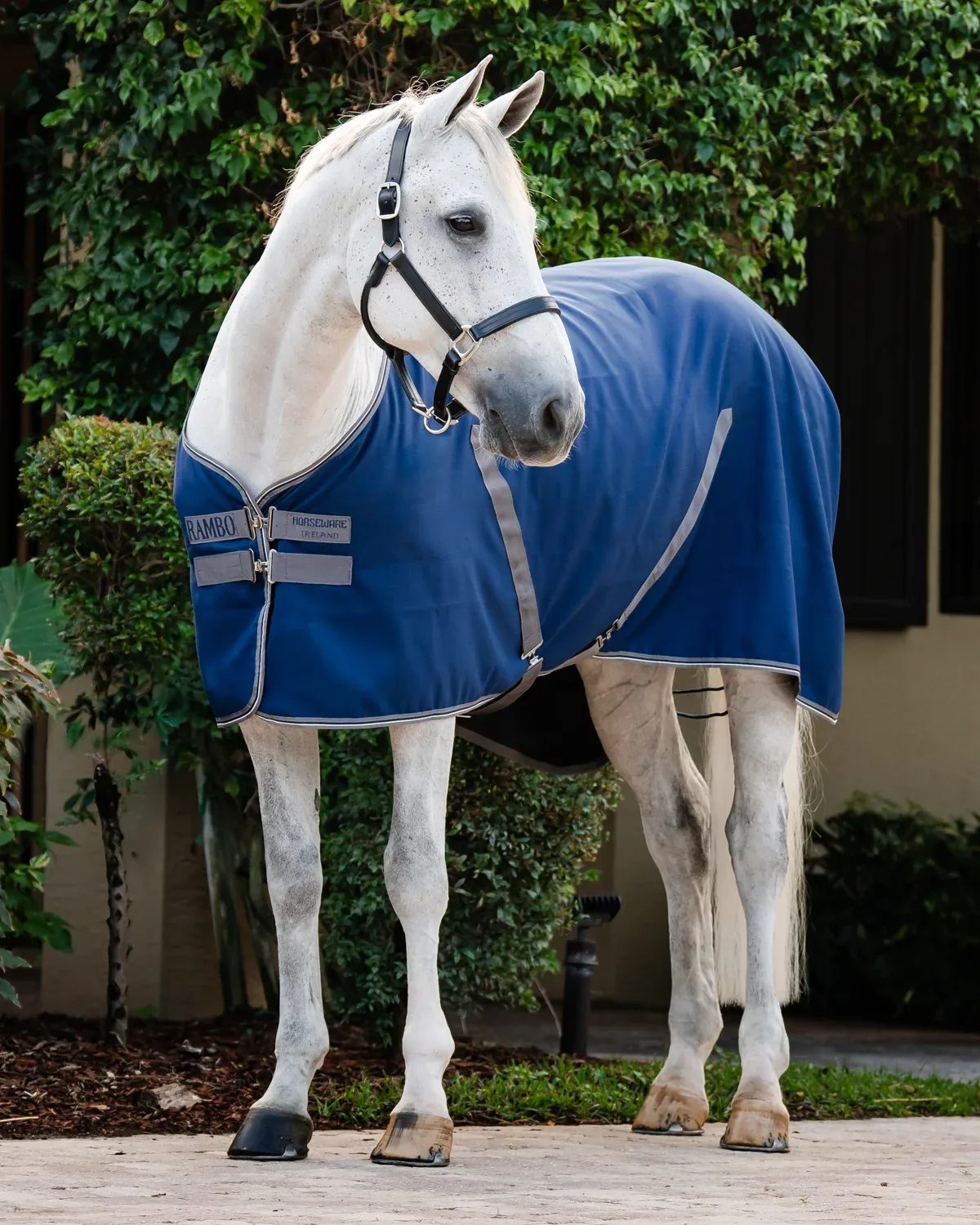 Horseware® Ireland Rambo® Stable Sheet with Embossed Lining