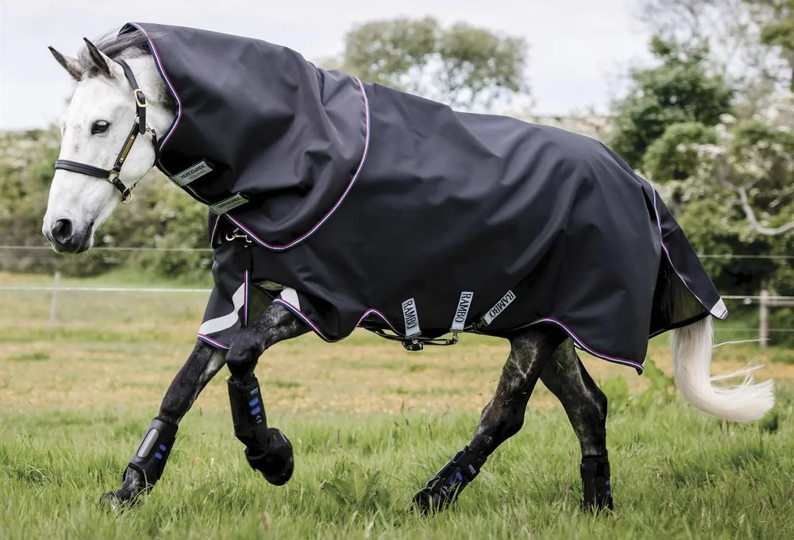 Horseware® Ireland Rambo® Supreme Lite Turnout Sheet