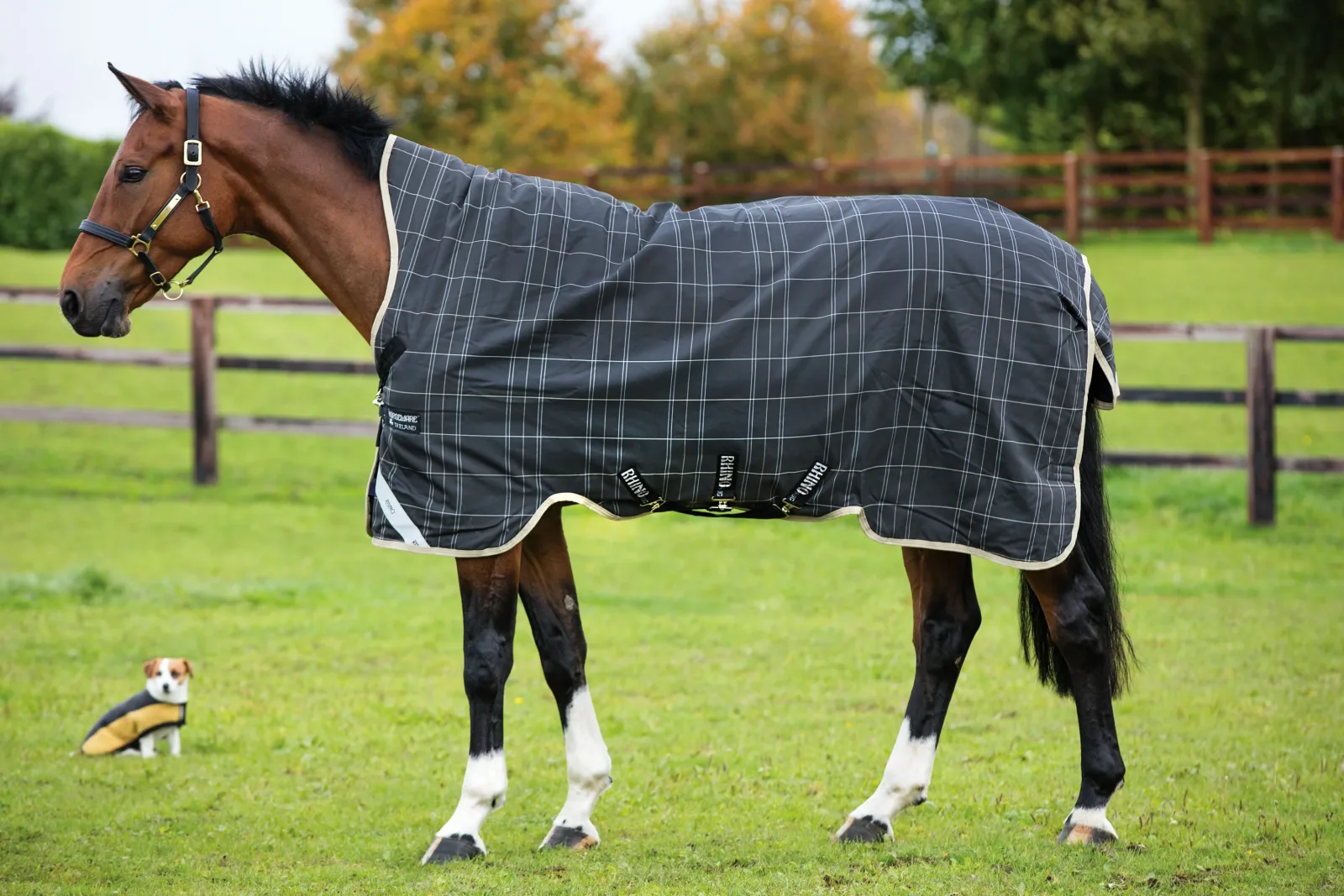 Horseware® Ireland Rhino® Medium-Weight Wug with Vari-Layer® - Image 2