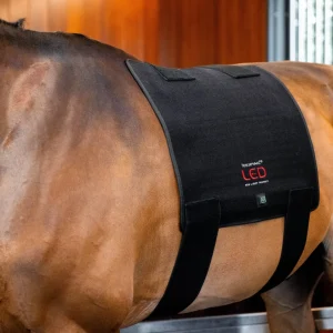 Horseware LED Red Light Therapy Pad