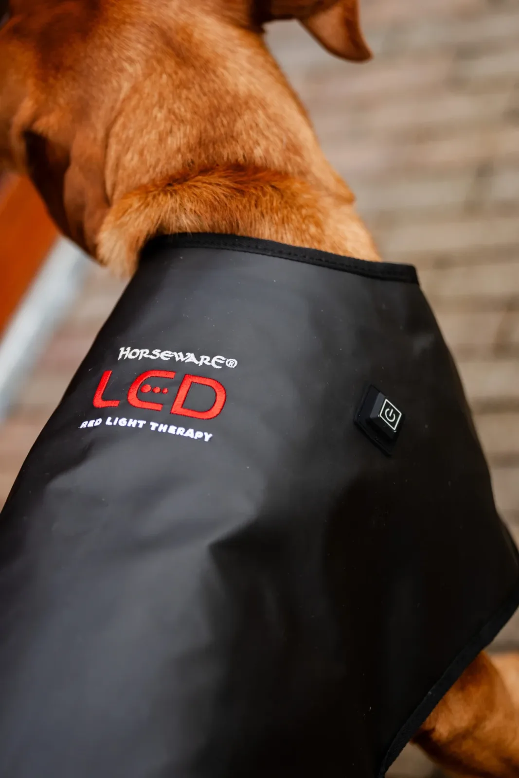 Horseware LED Red Light Therapy Pet Coat - Image 2