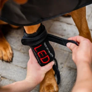 Horseware LED Red Light Therapy Pet Leg Wraps