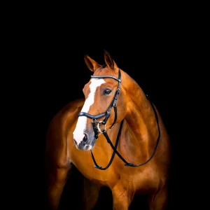 Horseware Micklem 2 Diamante Comp