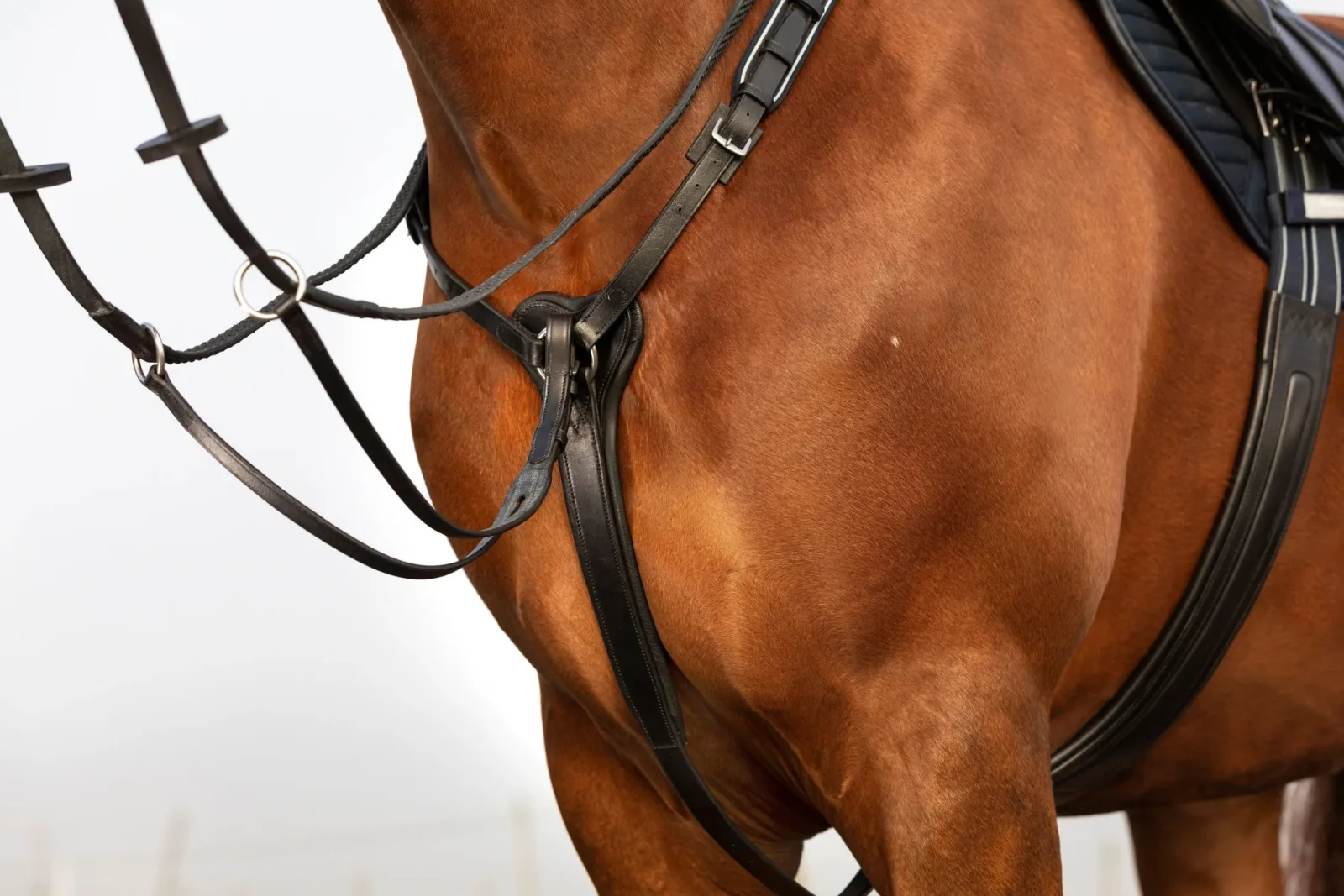 Horseware Micklem Breastplate Martin