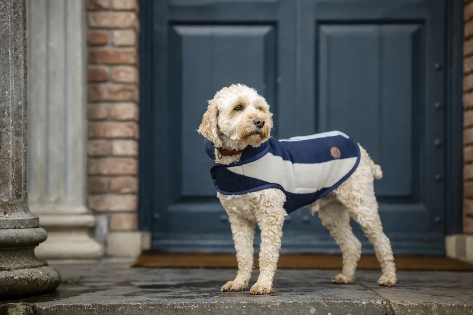 Horseware Newmarket Dog Fleece - Image 2