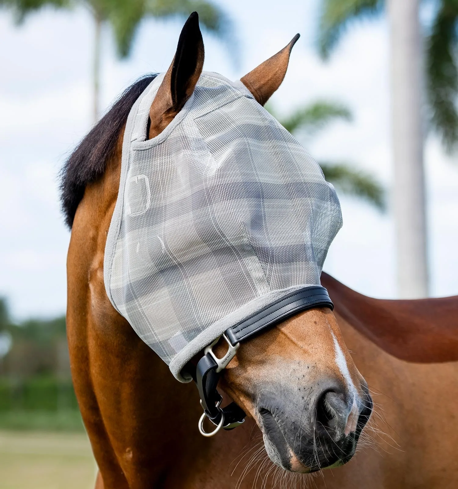 Horseware Newmarket Fly Mask (No Ears) - Image 2