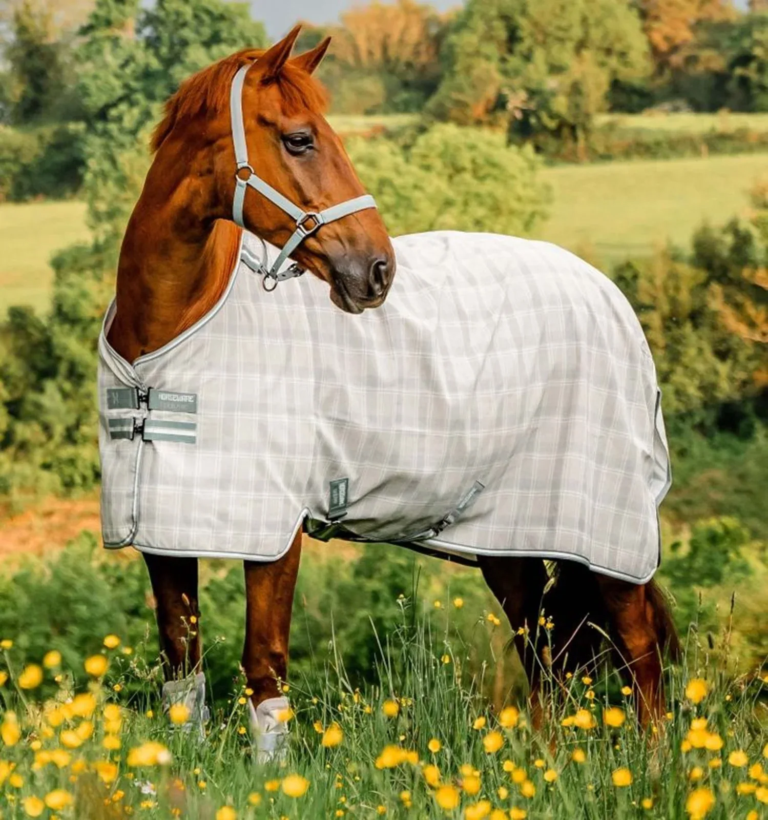 Horseware Newmarket Fly Sheet - Image 2