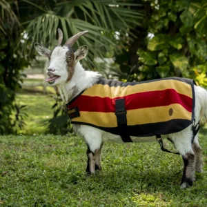 Horseware Newmarket Goat Fleece