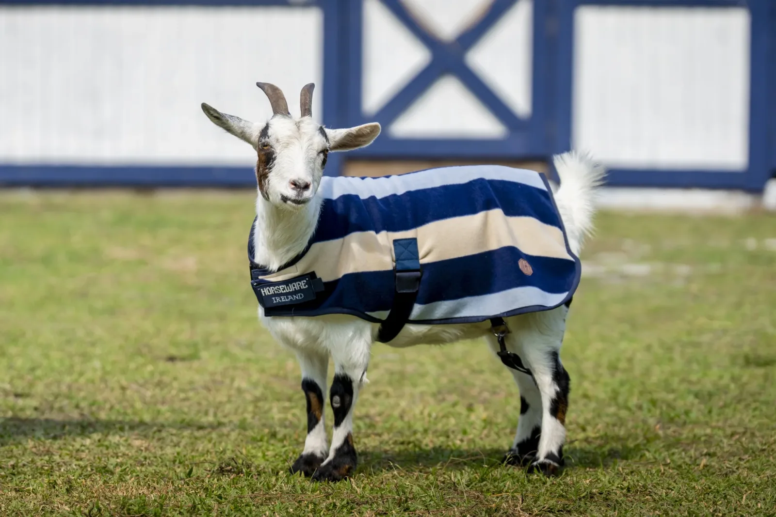 Horseware Newmarket Goat Fleece - Image 2