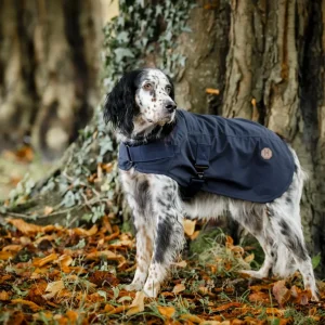 Horseware Newmarket Heritage Dog Coat