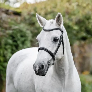 Horseware Pony Cavesson Bridle