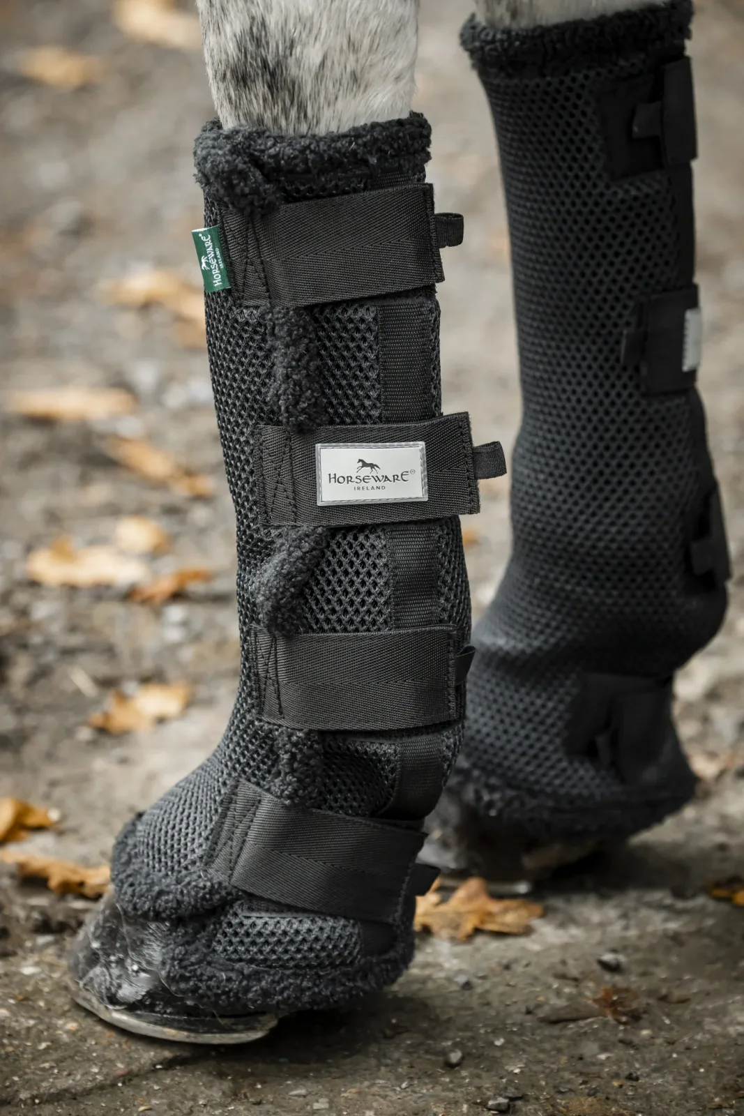 Horseware Show Ready Wraps - Image 2