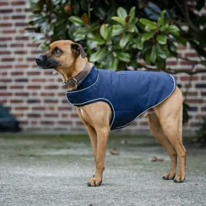 Horseware Signature Dog Rain Coat 100g
