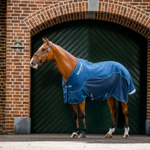 Horseware Signature Travel Cooler