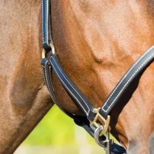Horze Fremont Leather Horse Halter