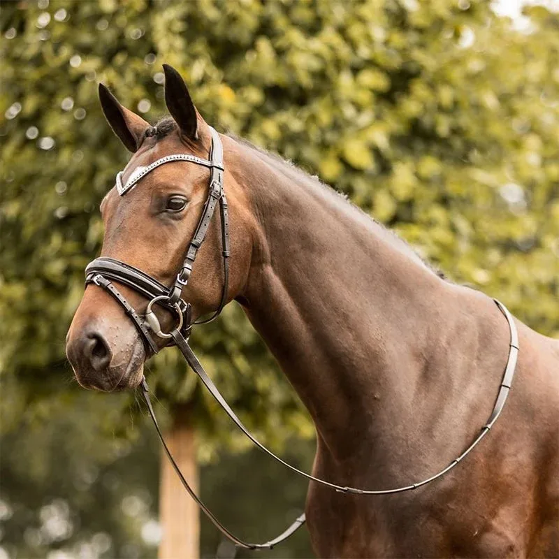 Horze Grayson Classic Dressage Ergonomic Bridle - Image 2