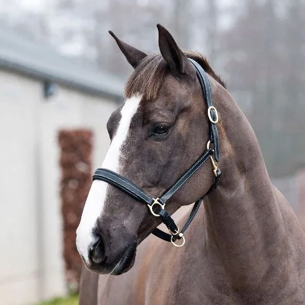 Horze Largo Leather Halter - Image 2