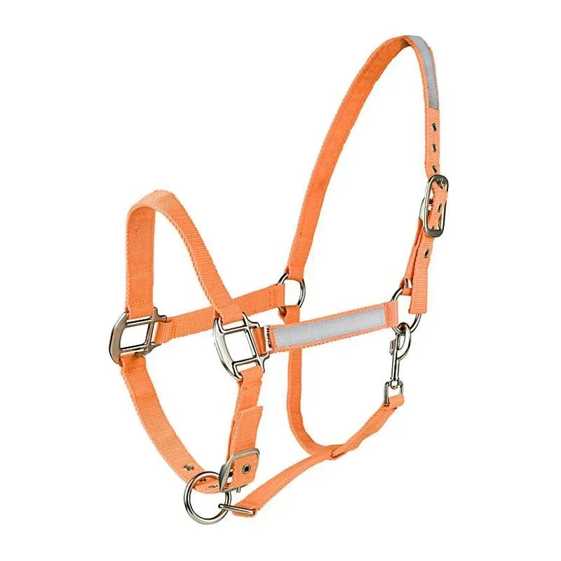 HorZe Reflective Halter Cob Orange - Image 2