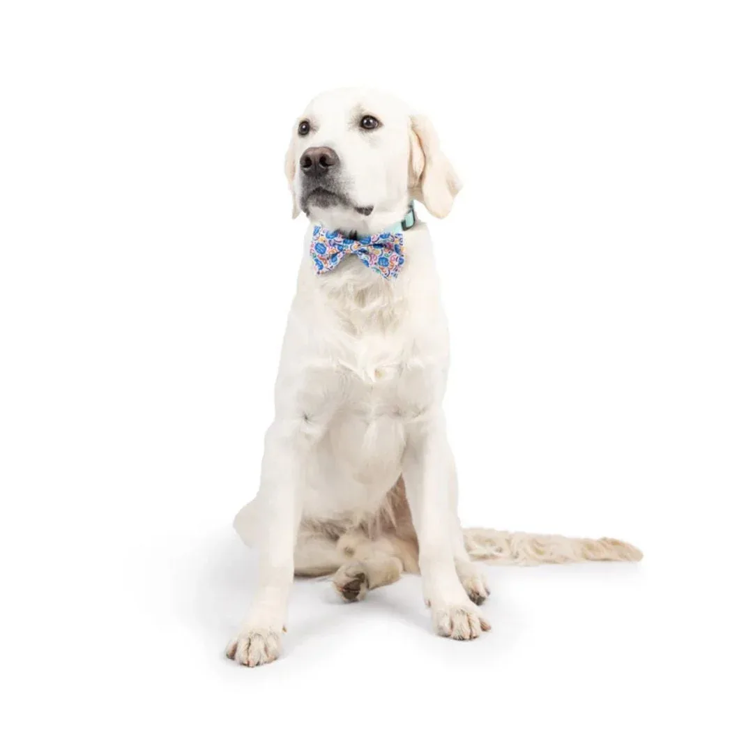 Huxley & Kent Happy Got Me Day Dog Bow Tie - Large - Image 2