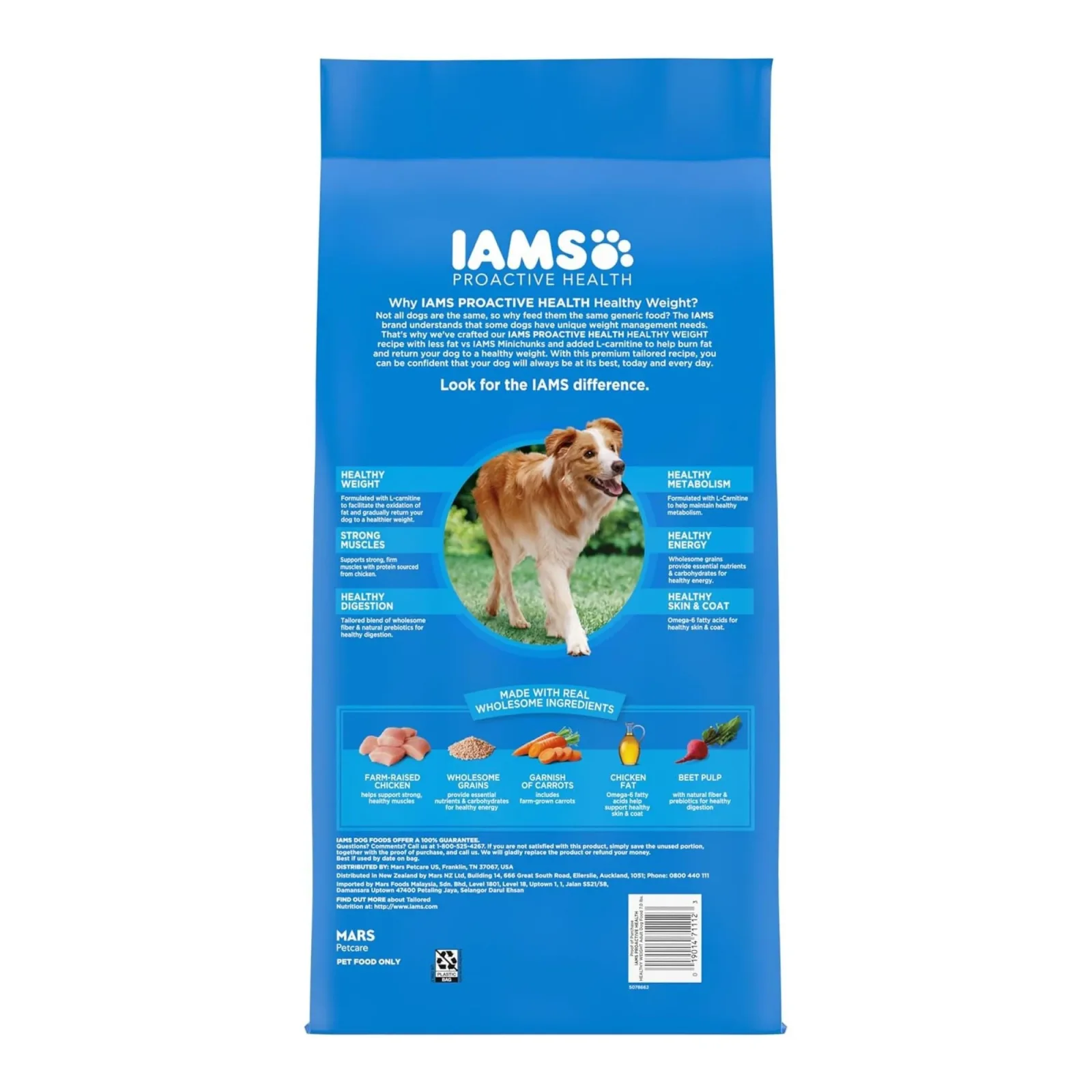 IAMS Healthy Weight Adult Dry Dog Food Chicken 7 lb - Image 2