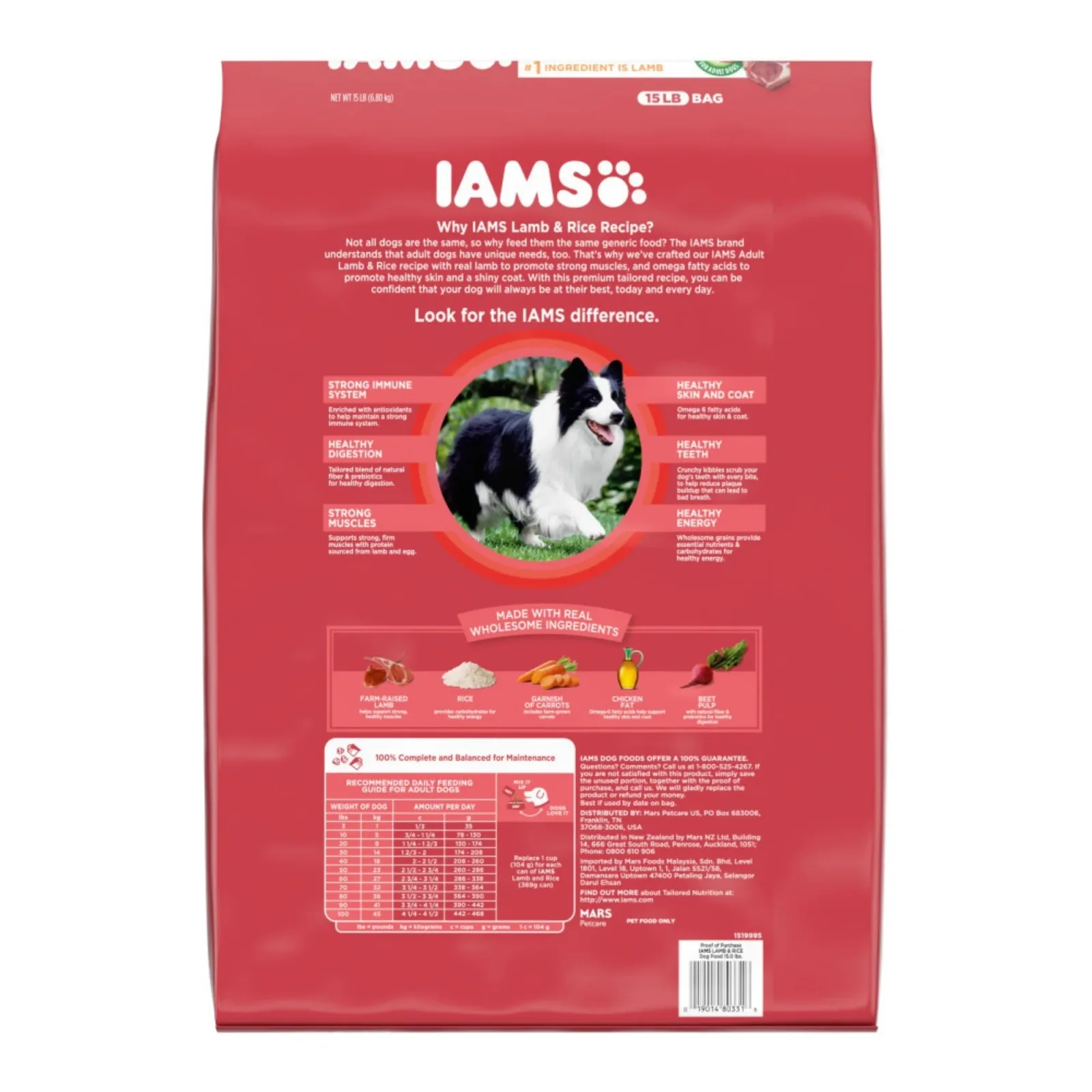 IAMS Minichunks Adult Dry Dog Food Lamb & Rice 15 lb - Image 2