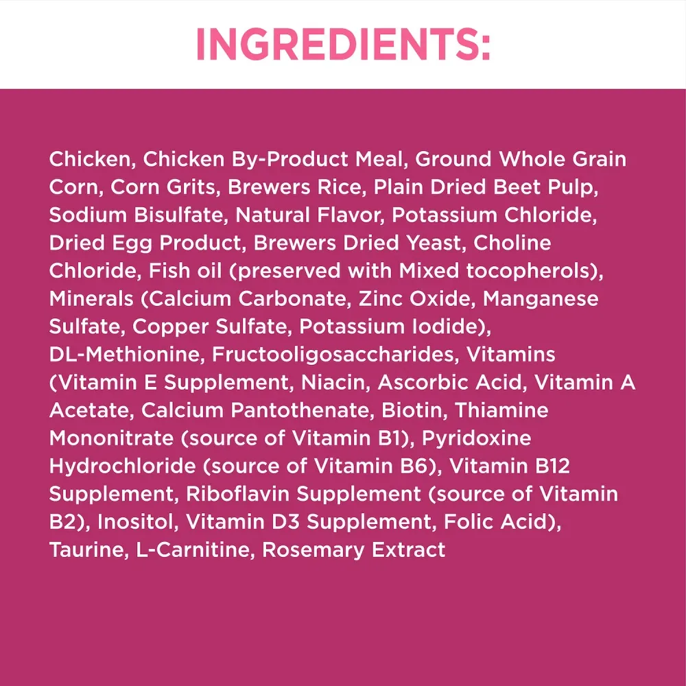 Iams Proactive Health Adult Urinary Tract Healthy With Chicken Cat Kibble Dry Cat Food - Image 2