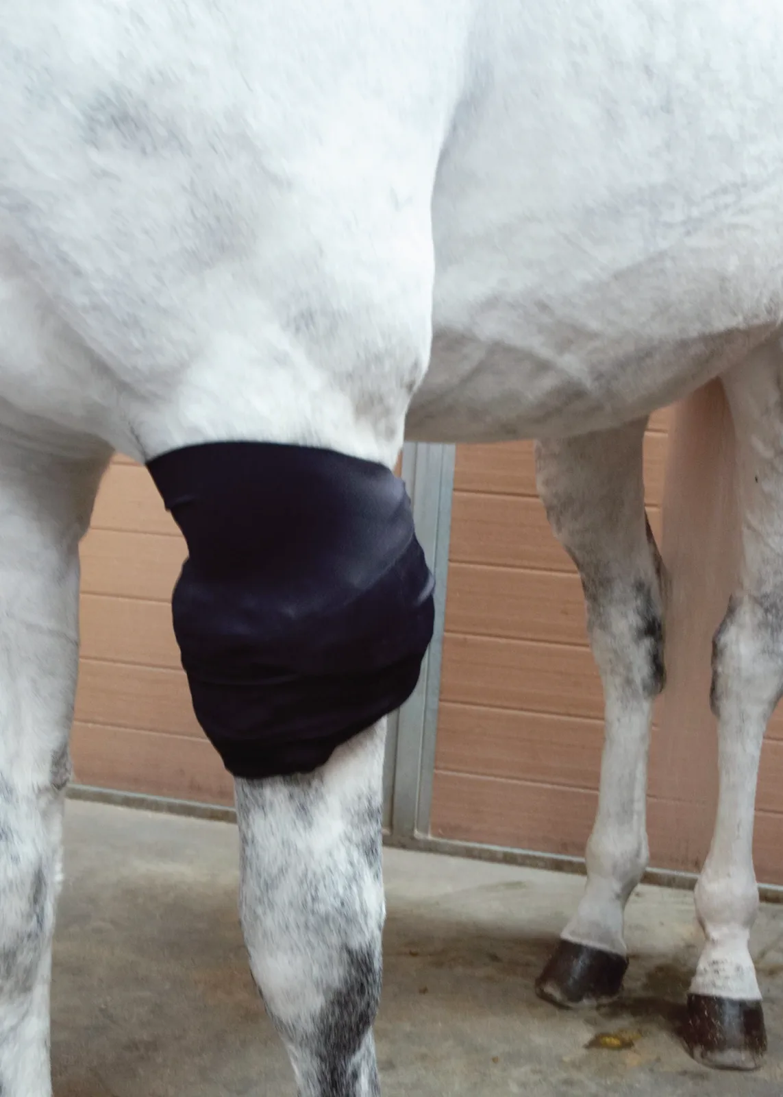 Ice Horse® All-Purpose Wrap - Image 2