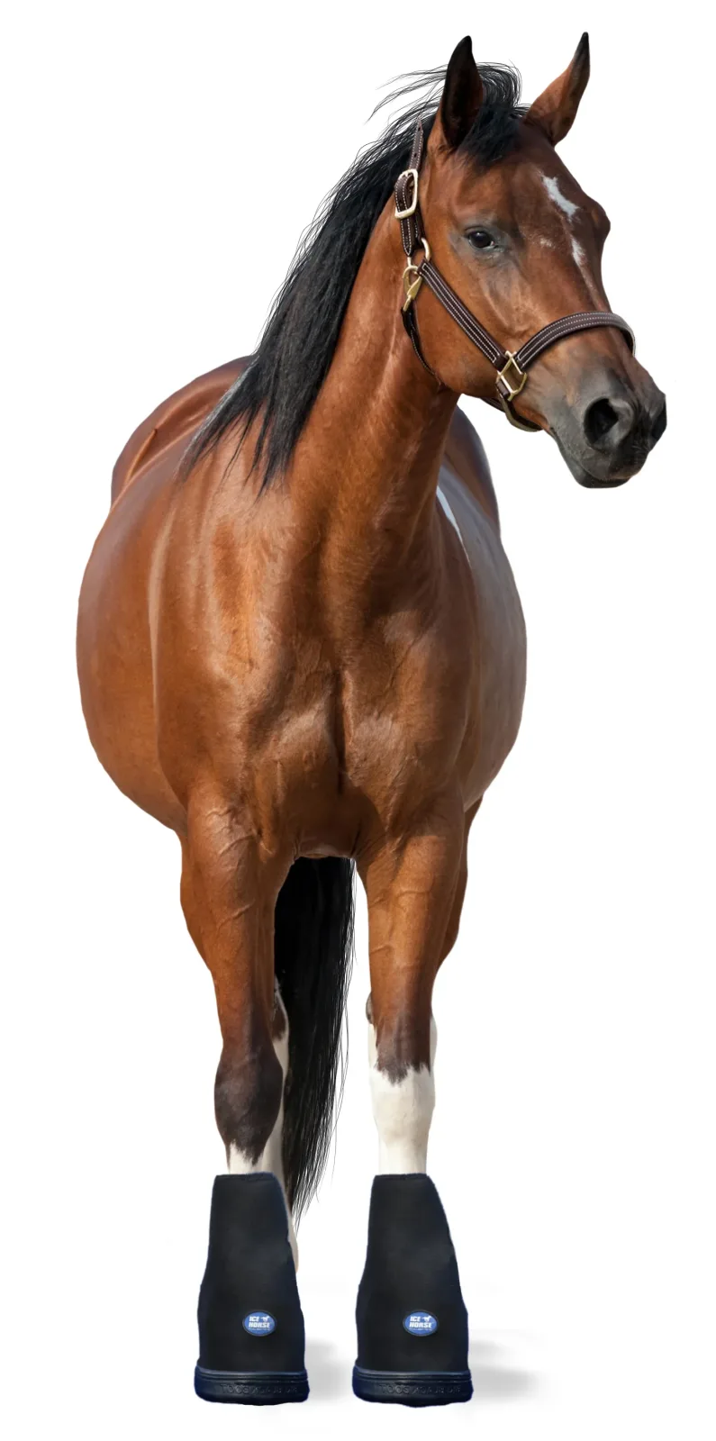 Ice Horse® Hoof Boot - Pair - Image 2