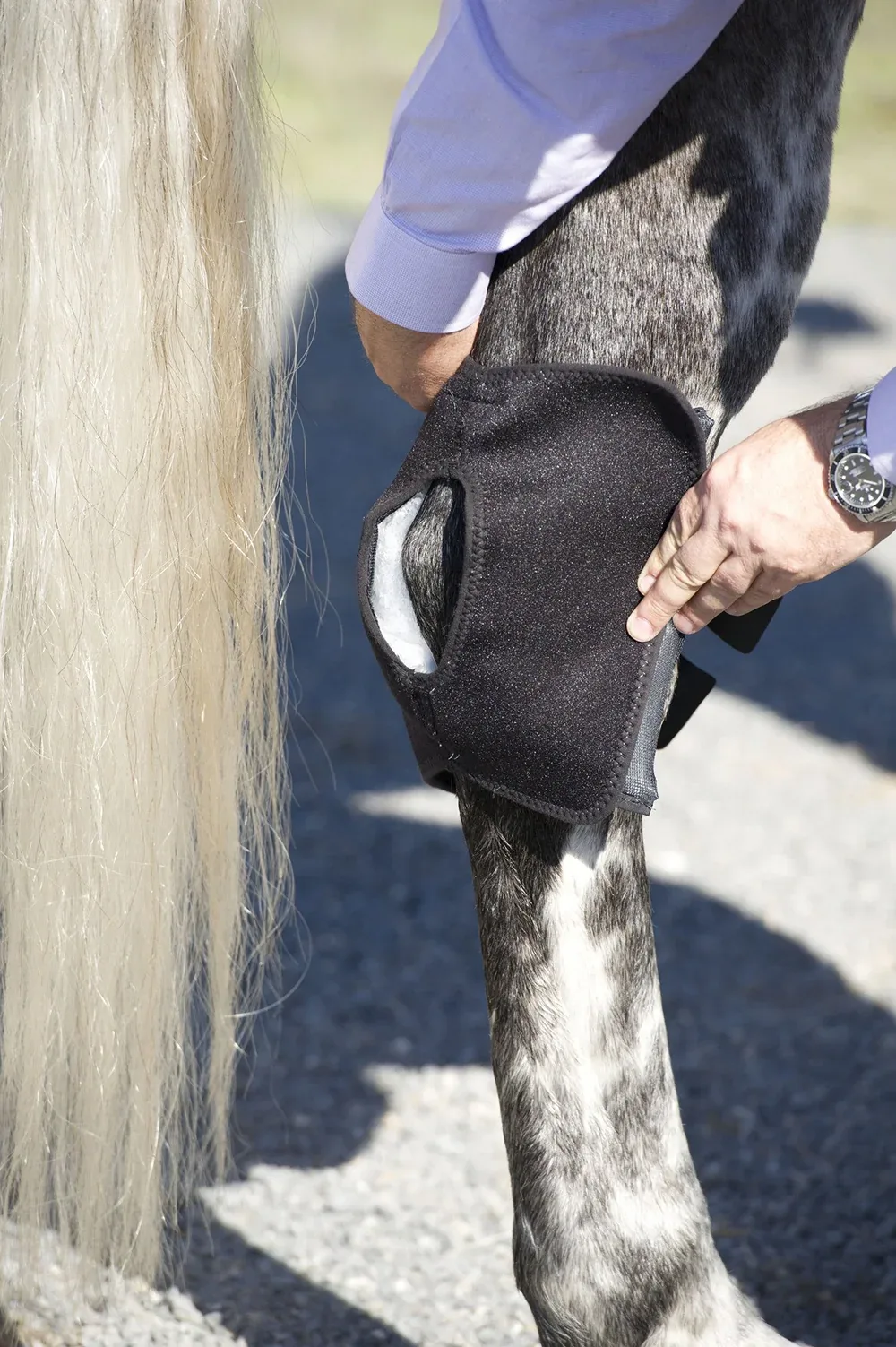 Ice Horse® Pony Hock Wrap – Pair - Image 2