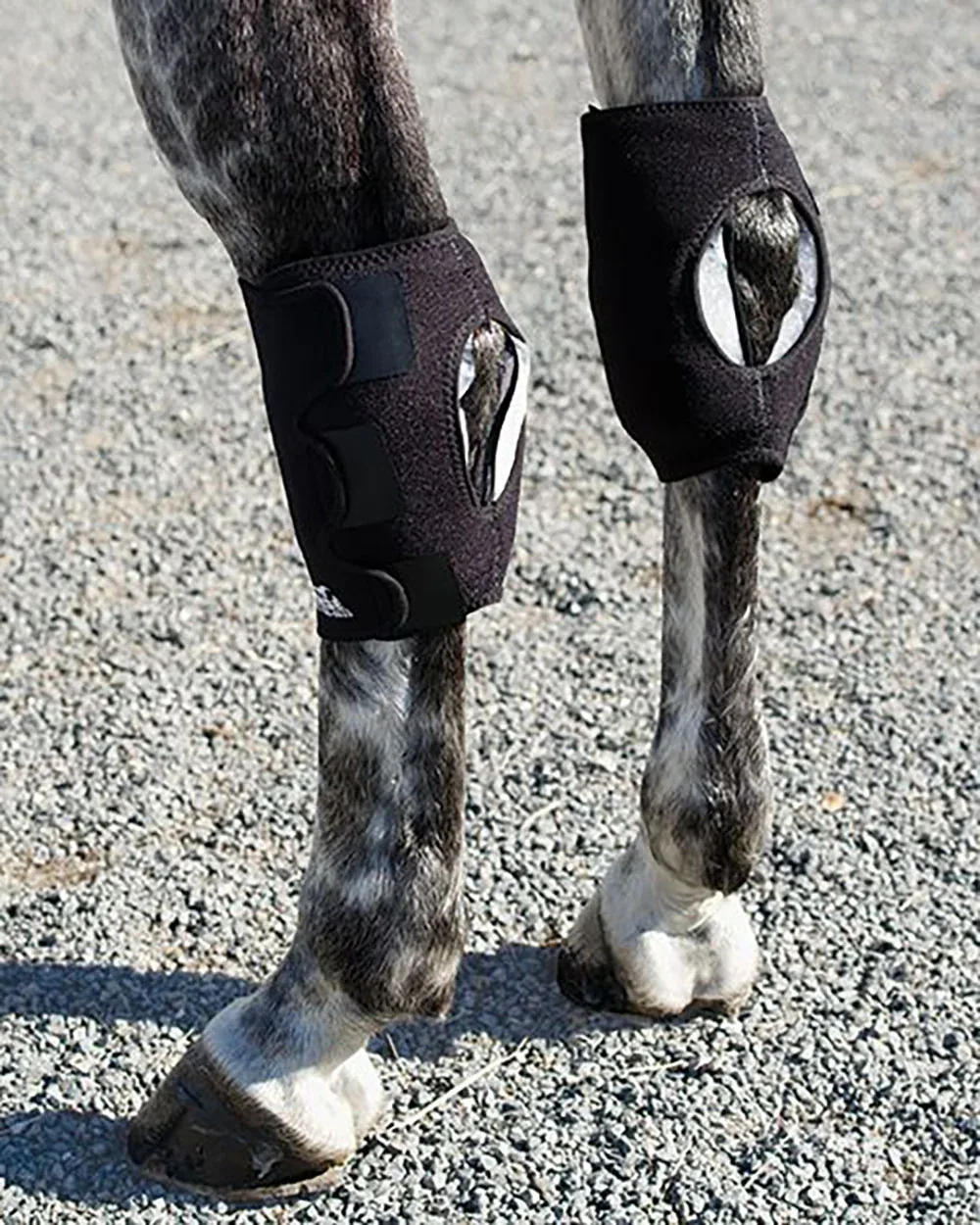 Ice Horse® Pony Hock Wrap – Pair