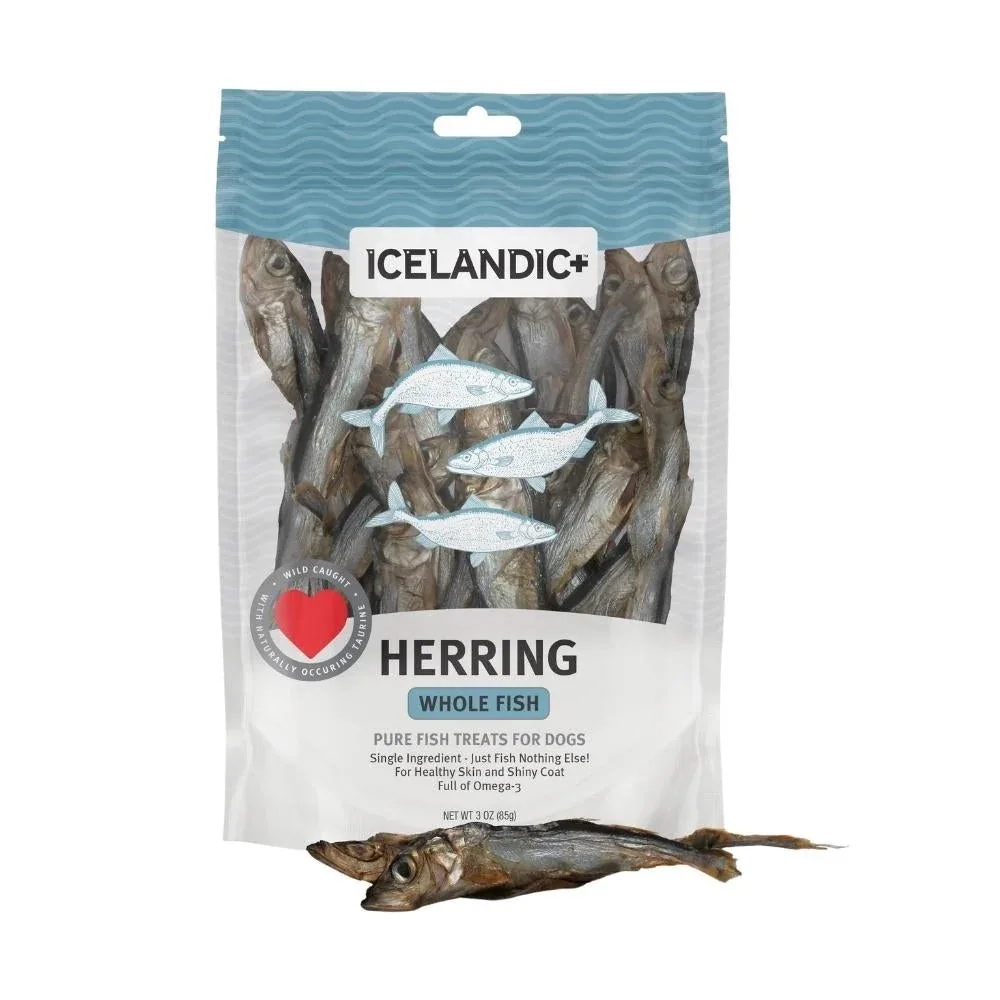 Icelandic Dog Herring Fish Whole 3 oz