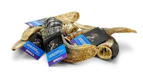Icelandic Lamb Horn - Bulk 24 ct (Display Refill) (Sized Approx. 6.5-7 in)