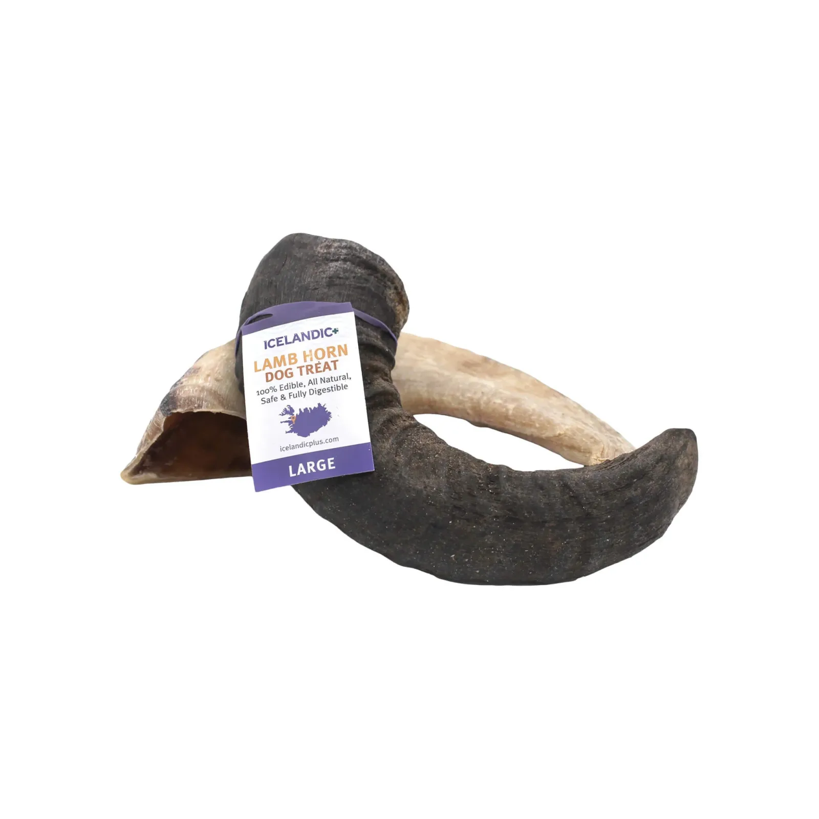 Icelandic+ Lamb Horn Dog Chew - Image 2