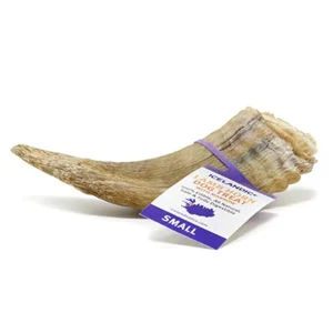 Icelandic+ Lamb Horn with Marrow - Small 4-4.7 in Natural Dog Chew, 72-Count