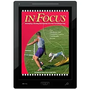 In FOCUS E