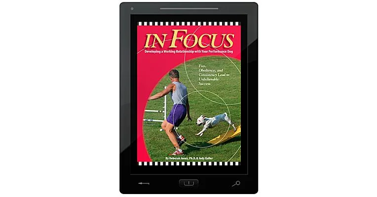 In FOCUS E